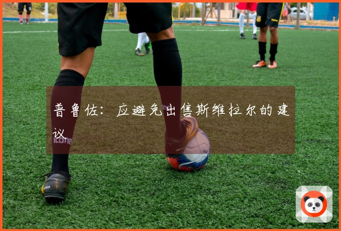 普鲁佐：应避免出售斯维拉尔的建议